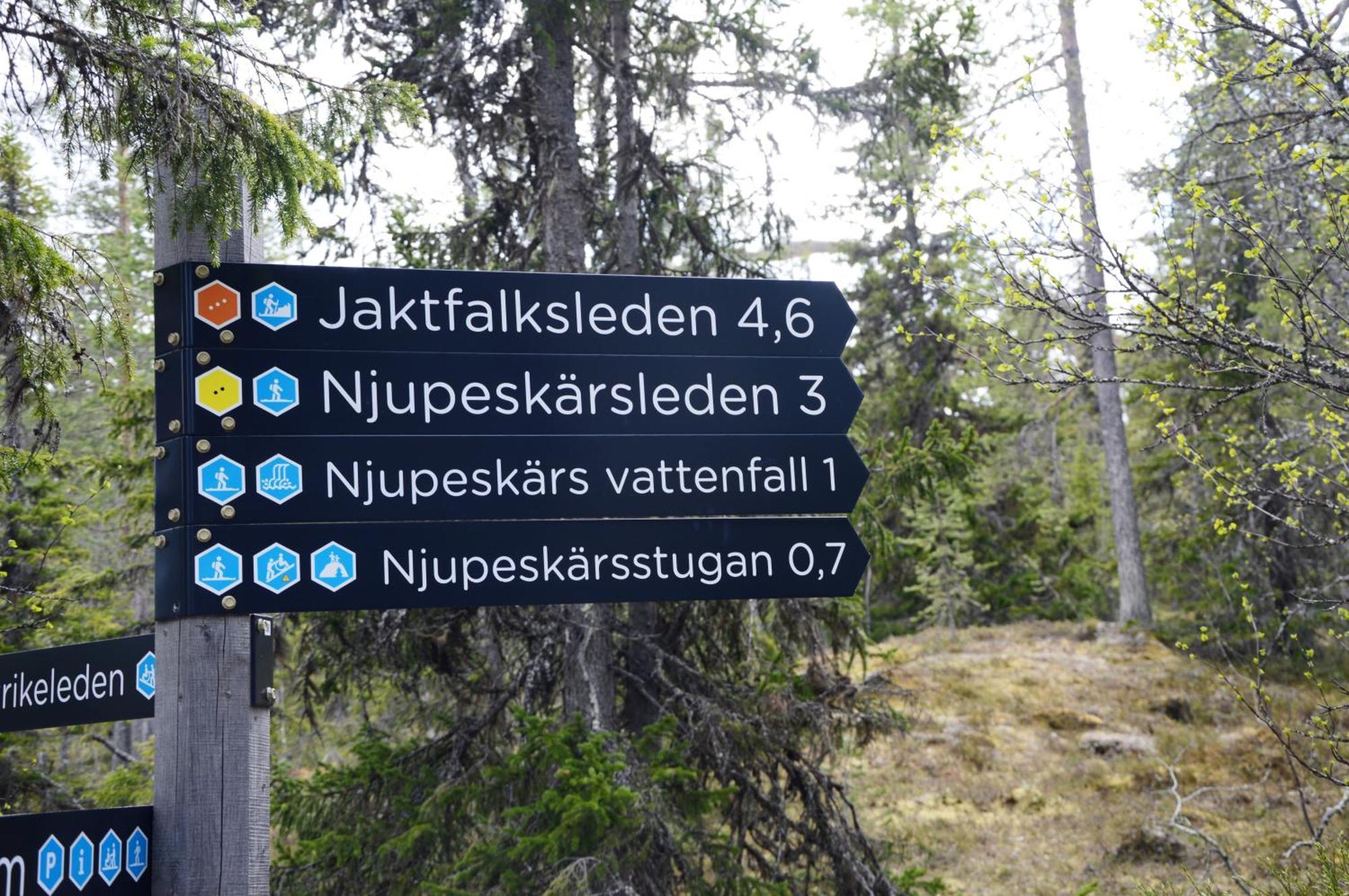 14 - Fulufjellets Nasjonalparker - Natur-, Dyre- Og Fugleopplevelser 트리실 외부 사진